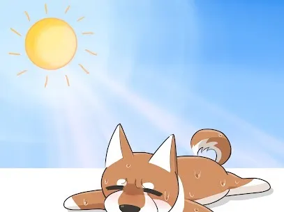 夏バテの倒し方